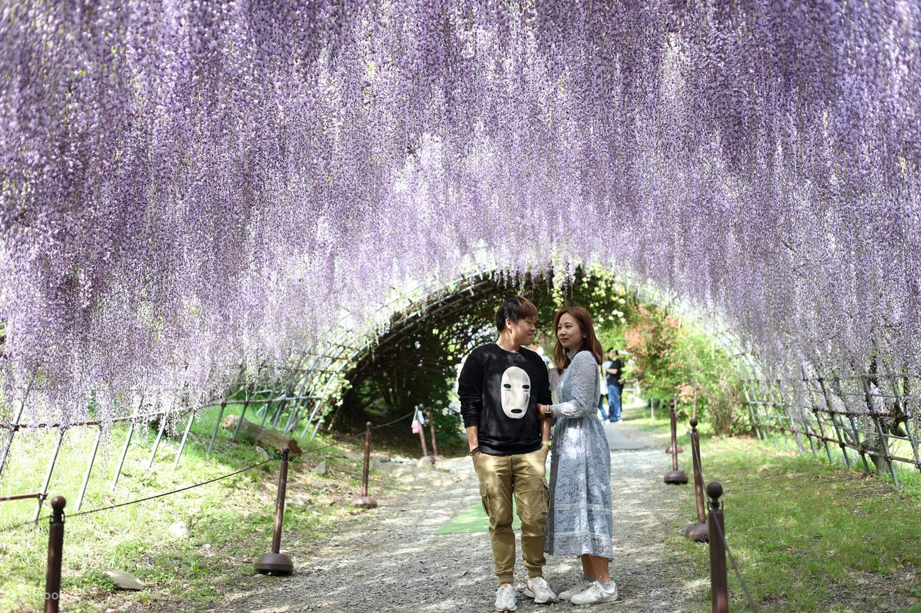 ฟุกุโอกะ | ประสบการณ์ถ่ายภาพมืออาชีพสำหรับคู่รัก ครอบครัว พ่อแม่ลูก และทริปท่องเที่ยว | บริการภาษาจีน/กวางตุ้ง/อังกฤษ